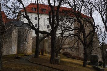  (© Karel Husák, 03/2012)