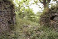 Kalich