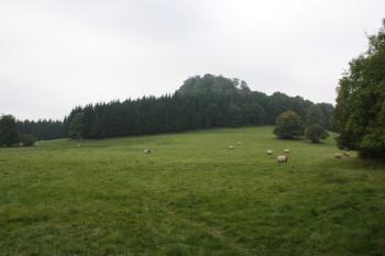 Pohled na Zlatý vrch od červené značky nad Lískou ( © Ivan Grisa 09/2009)