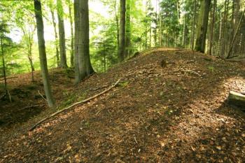 Čelní val a šíjový příkop (vlevo) ( © Filip Matoušek 05/2004)