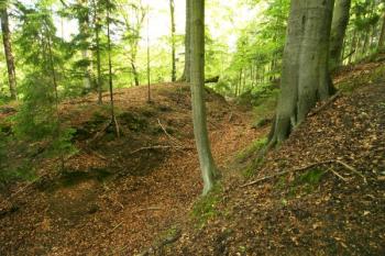Šíjový příkop oddělující hrad od zbytku ostrožny ( © Filip Matoušek 05/2004)