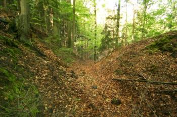 Průhled příkopem ( © Filip Matoušek 05/2004)