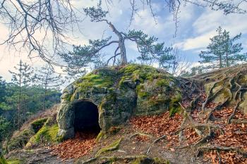 Skalní hrad Kavčiny ( © Radovan Smokoň 02/2018)