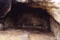 Kavčiny