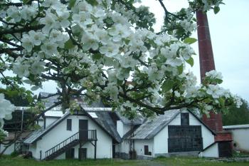 Budova huti na jaře (© Marie  Milichovská, 08/2009)