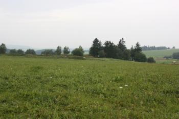 Hřbitov od jihovýchodu ( © Ivan Grisa 08/2009)