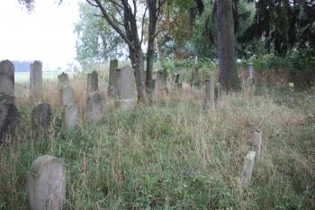 Hřbitov od severozápadu ( © Ivan Grisa 08/2009)