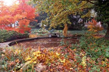 zámecký park (© Rodochrozit, 10/2011)