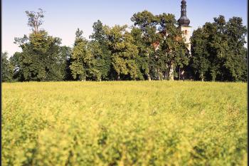 Východní pohled od silnice na Folmavu (© František Holý, 07/2007)