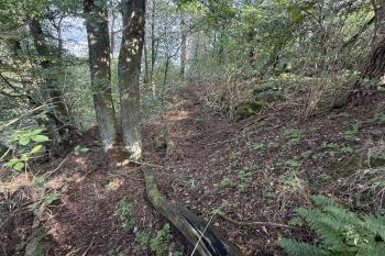  (© Jiří Čížek 09/2025)