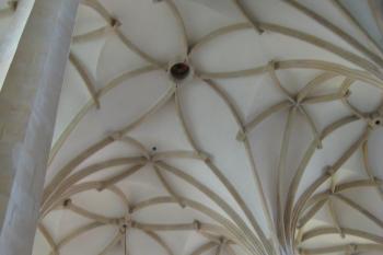  (© Zdeněk Susa, 08/2014)
