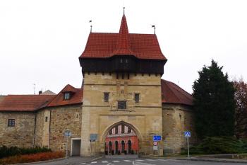  (© Karel Husák, 11/2012)