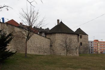  ( © Iva Spurná 21.2.2008)
