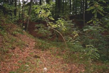 Krásný Buk (© vladimír kotek, 08/2003)