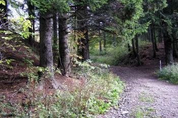 hlavní, tzv. Slavkovská brána hostýnského hradiště ( © Jan P. Štěpánek 09/2007)