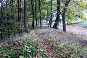 val hostýnského hradiště na severovýchodě areálu ( © Jan P. Štěpánek 09/2007)