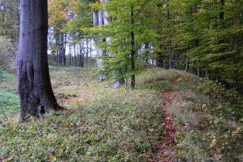val na severním obvodu hradiště ( © Jan P. Štěpánek 09/2007)