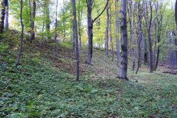 pohled zvenčí na val hradiště od východu ( © Jan P. Štěpánek 09/2007)