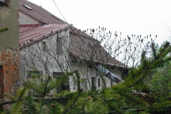 nádvorní část budovy dvora  (© D Dohňanský, 05/2015)