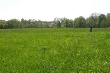 Pohled na takřka neznatelné návrší tvrze od ssz. (© Jan P. Štěpánek 05/2006)
