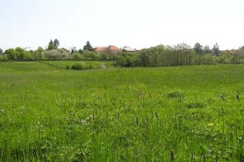 Pohled od severozápadu na takřka neznatelný pahorek tvrze (© Jan P. Štěpánek 05/2006)