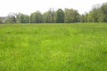 Pohled na místo tvrze od severovýchodu (© Jan P. Štěpánek 05/2006)