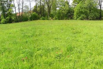 Pohled z pahorku tvrze k jihozápadu (© Jan P. Štěpánek 05/2006)