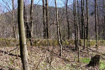 Pohled na dlouhý betonový základ ohrazení či jedné z budovy zaniklých železáren ( © Jan P. Štěpánek 04/2007)