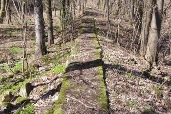 Pohled od jihu na základ ohrazení nebo jedné z budov někdejších železáren ( © Jan P. Štěpánek 04/2007)