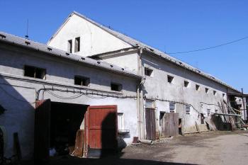 Pozůstatky hospodářských budov dvora (© Jan P. Štěpánek 05/2006)