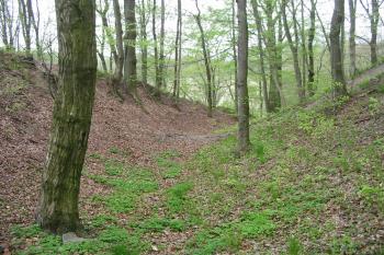 příkop vedoucí od jihu k západu (© D Dohňanský, 05/2015)