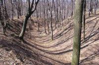 Hradní vrch