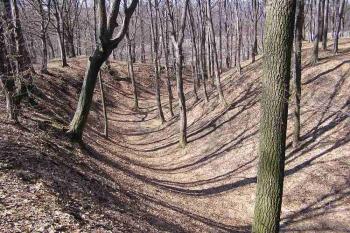 Mohutný šíjový příkop na jihu lokality (© Jan P. Štěpánek 05/2006)