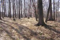 Hradní vrch