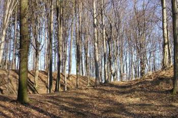 pohled na lokalitu z předpolí od západu ( © Jan P. Štěpánek 03/2008)