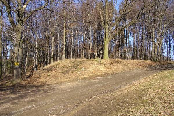 Hradní vrch