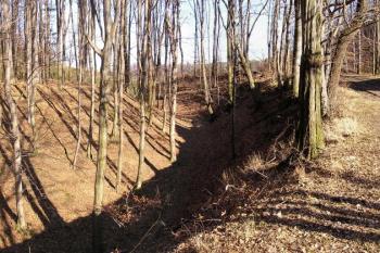 jižní strana lokality ( © Jan P. Štěpánek 03/2008)