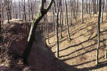 jižní část lokality s čelem jádra a mohutným šíjovým příkopem ( © Jan P. Štěpánek 03/2008)