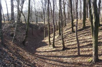 pohled od východu na mohutný šíjový příkop ( © Jan P. Štěpánek 03/2008)