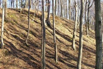 pohled na hrádek a mohutný šíjový příkop od východu ( © Jan P. Štěpánek 03/2008)