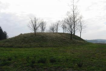 pohled na jádro tvrze od severu (© D Dohňanský, 12/2014)