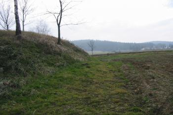 západní svah tvrziště (© D Dohňanský, 12/2014)