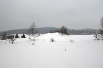 Pohled na pahorek tvrziště od severu, z prostoru bývaléhor rybníka. ( © Jan P. Štěpánek 03/2006)