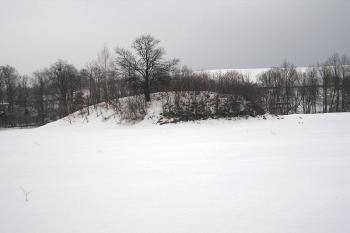 Pohled na pahorek tvrziště od západu. ( © Jan P. Štěpánek 03/2006)