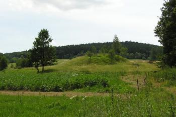 Pohled na tvrziště od sever ( © Jan P. Štěpánek 07/2007)