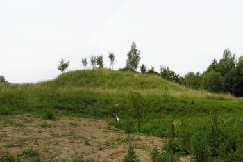 Celkový pohled na tvrziště od východu ( © Jan P. Štěpánek 07/2007)
