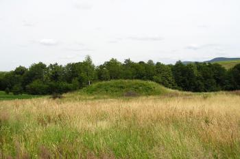 Tvrziště od západu ( © Jan P. Štěpánek 07/2007)