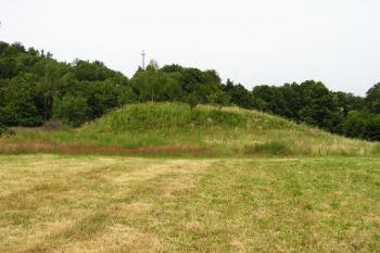 Tvrziště od jihu ( © Jan P. Štěpánek 07/2007)