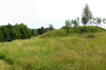 Tvrziště v Hodslavicích ( © Jan P. Štěpánek 07/2007)