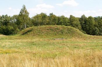 Pohled na tvrziště od západu ( © Miroslav BITTER 08/2007)
